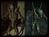 Wolf & Predalien (AVP: Requiem)
